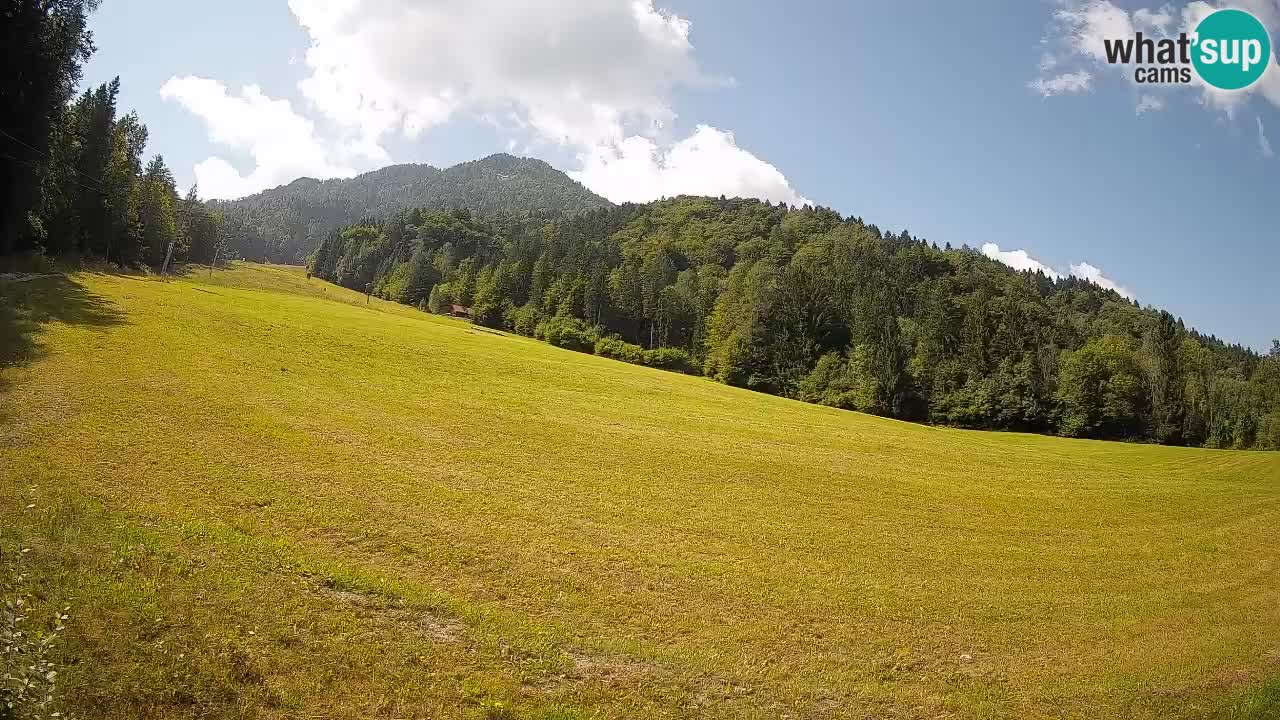 RTC Kranjska Gora | Brsnina