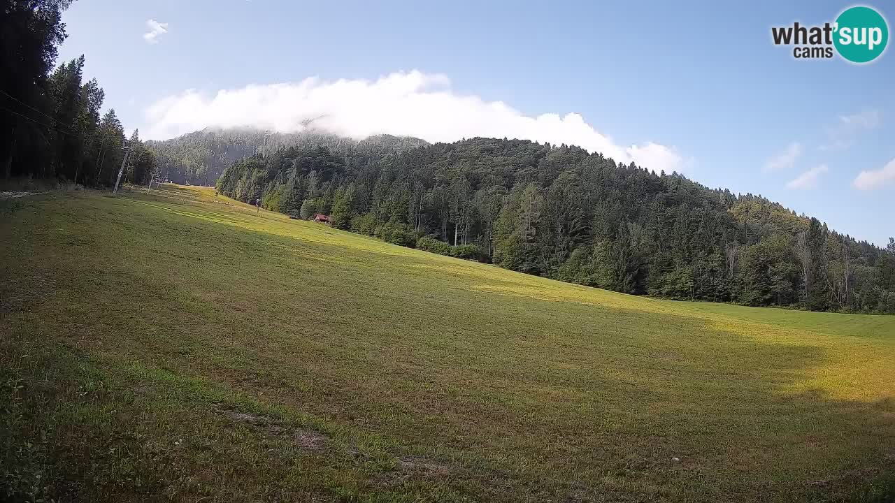 RTC Skigebiet Kranjska Gora | Brsnina