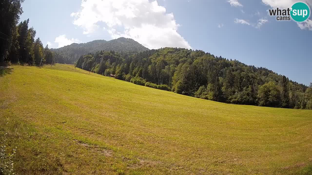 Kranjska Gora SKIJANJE | Brsnina