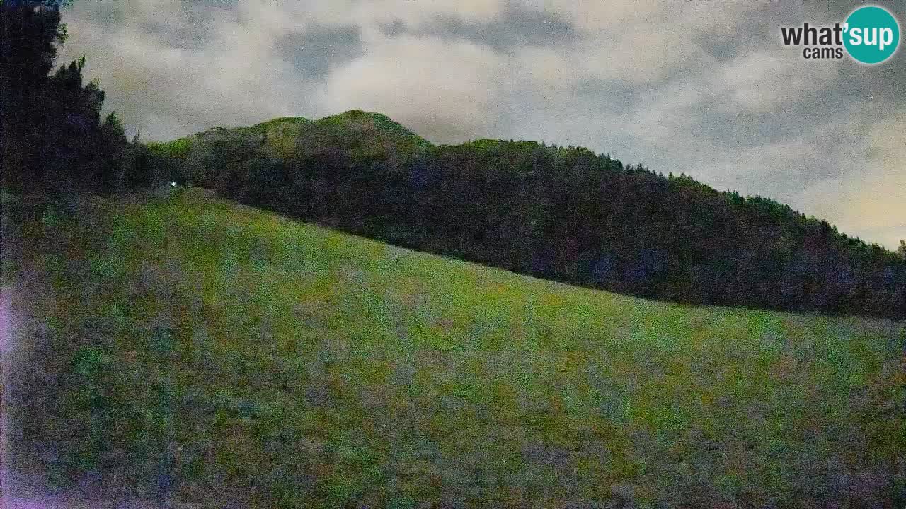 Ski Kranjska Gora | Brsnina
