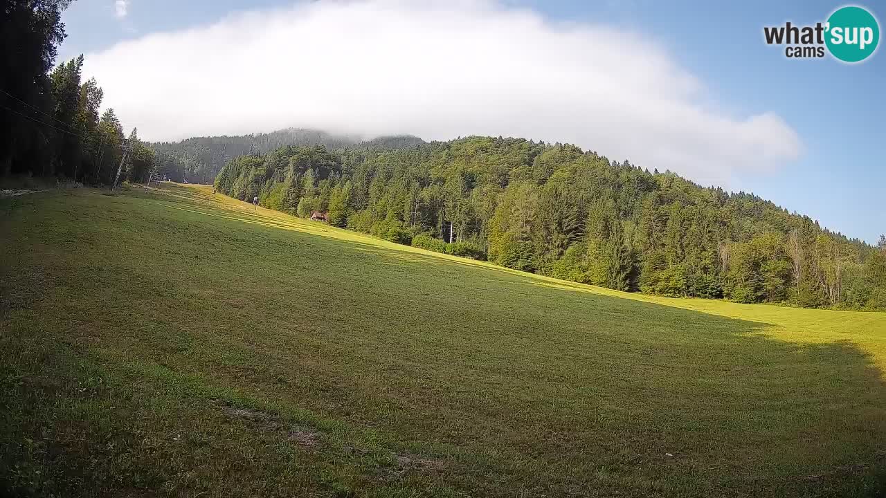 RTC Kranjska Gora | Brsnina