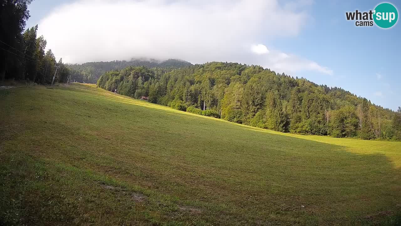 Comprensorio sciistico Kranjska Gora | Brsnina