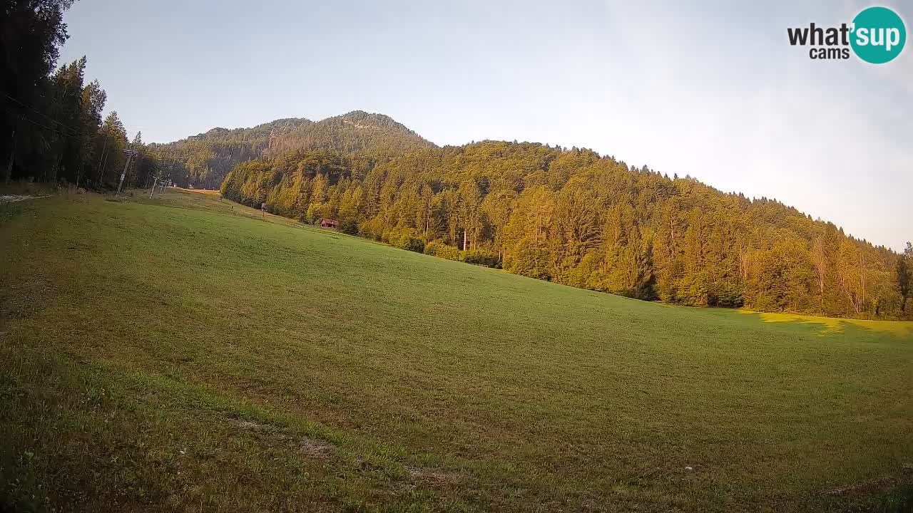 Ski Kranjska Gora | Brsnina