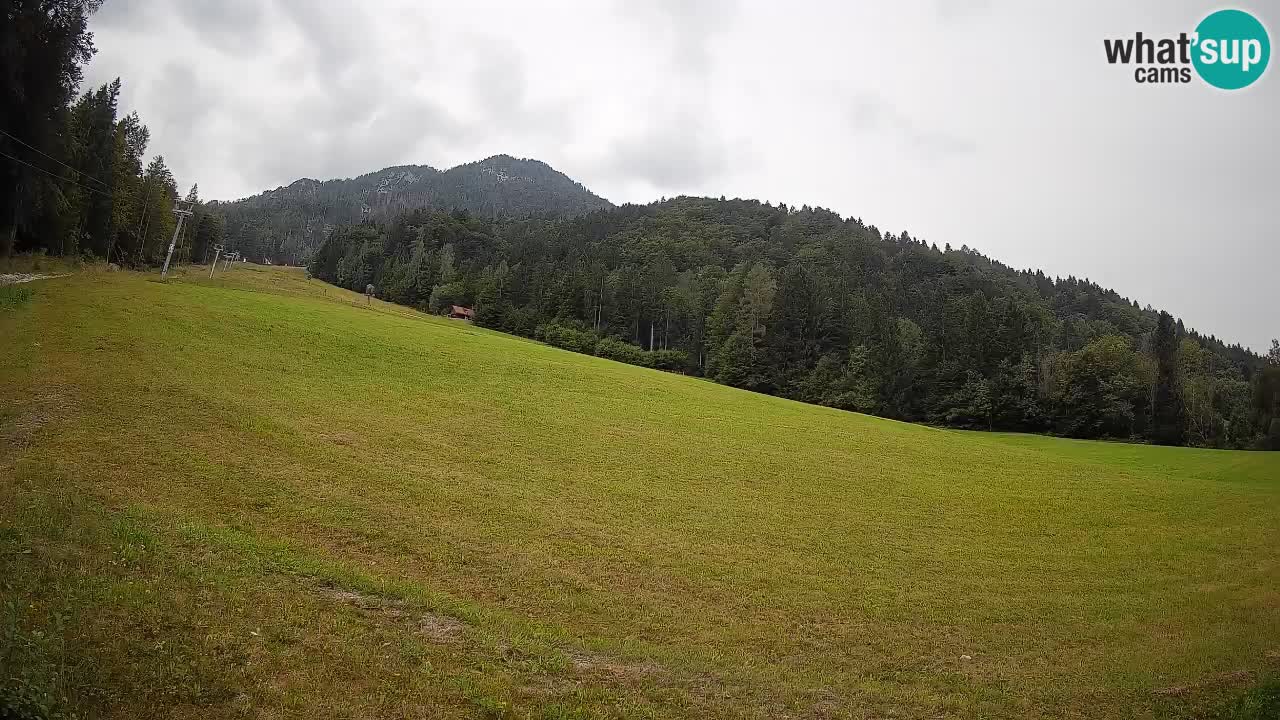 RTC Kranjska Gora | Brsnina