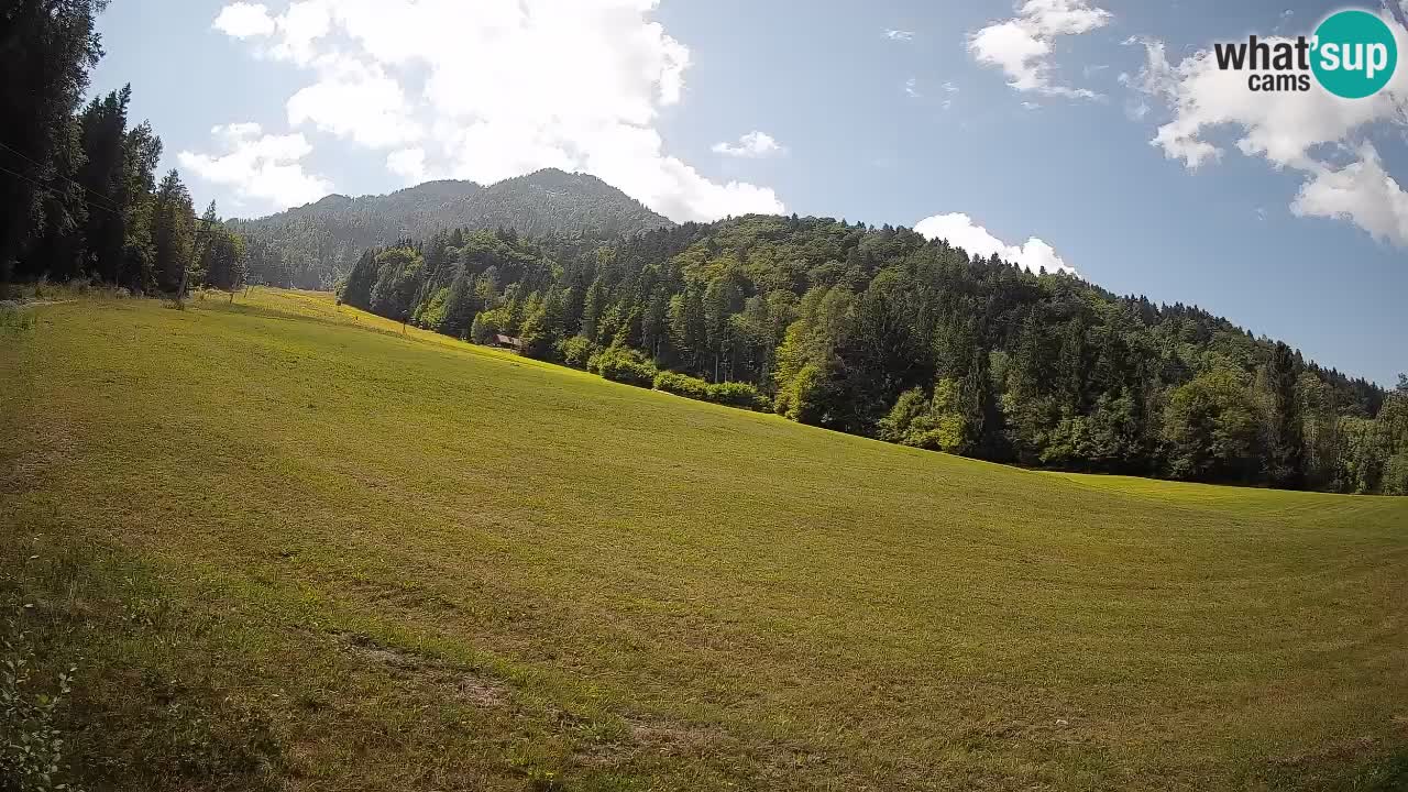 Ski Kranjska Gora | Brsnina