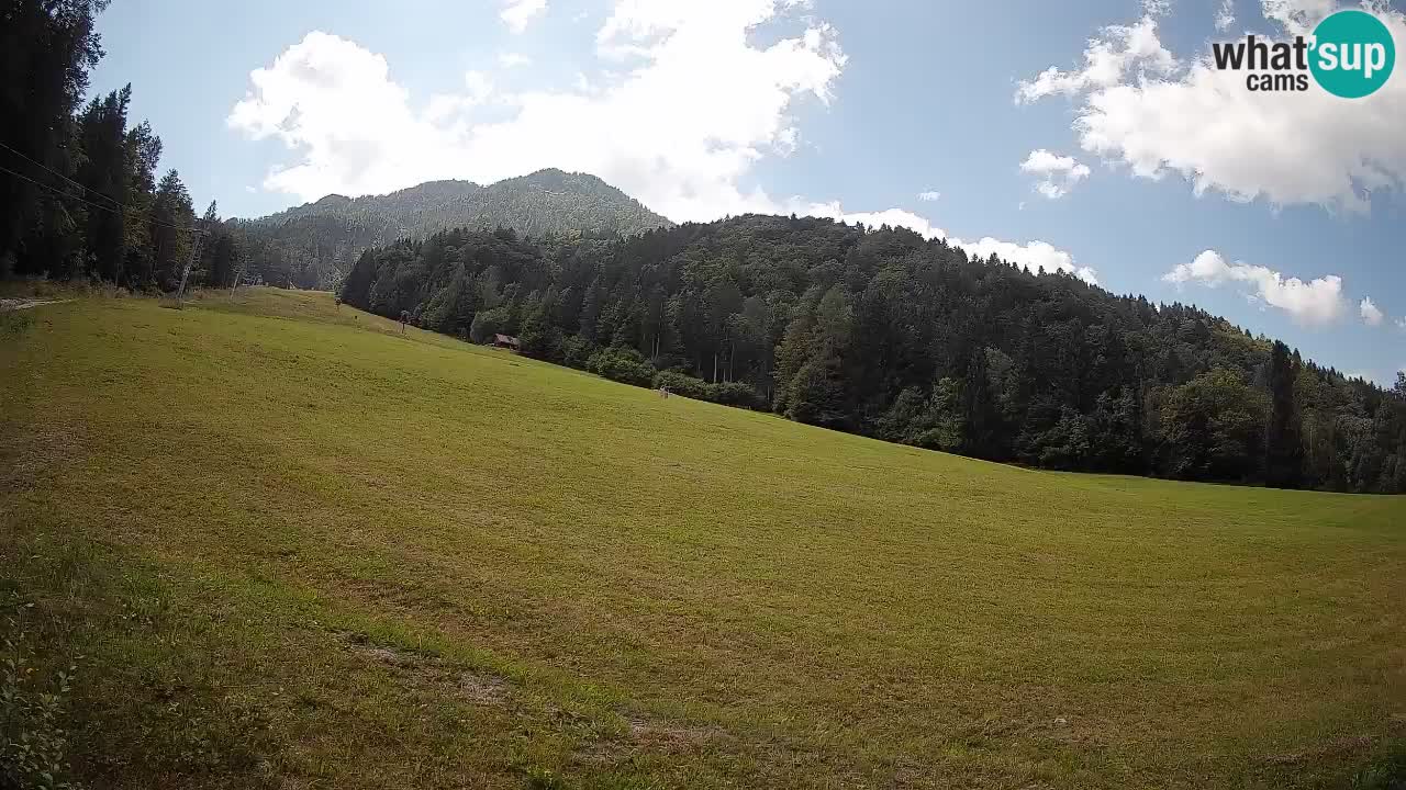 RTC Kranjska Gora | Brsnina