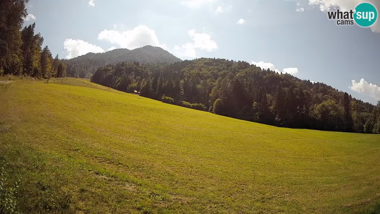 Kranjska Gora Station de ski | Brsnina
