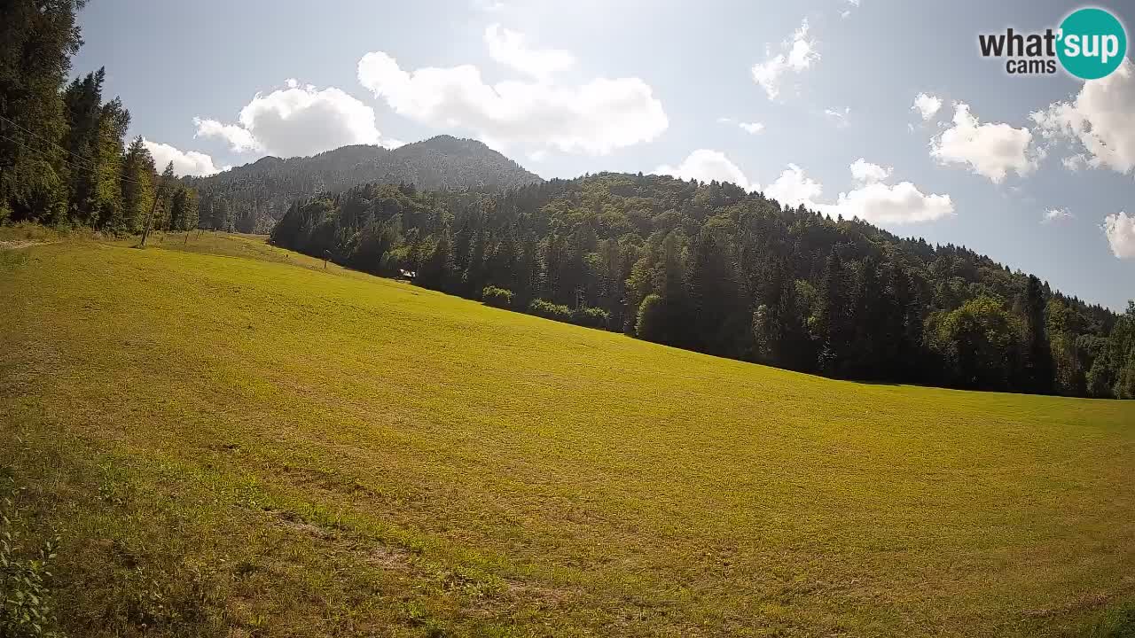 Comprensorio sciistico Kranjska Gora | Brsnina