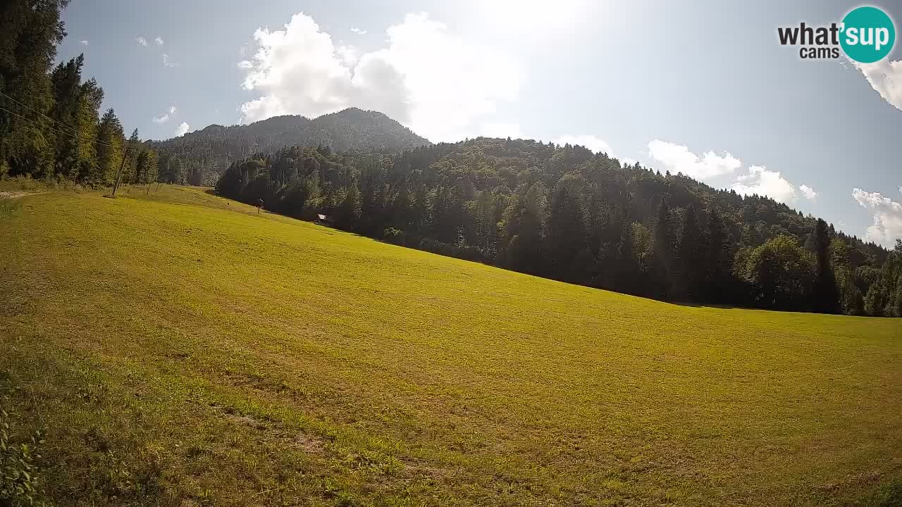Comprensorio sciistico Kranjska Gora | Brsnina