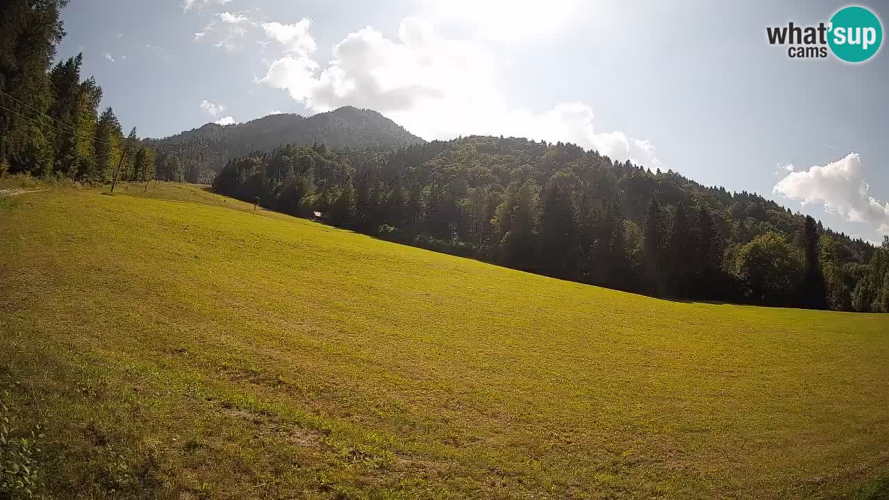 RTC Kranjska Gora | Brsnina