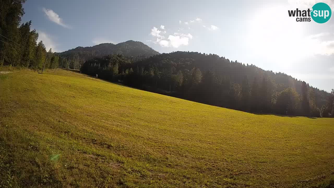 Ski Kranjska Gora | Brsnina