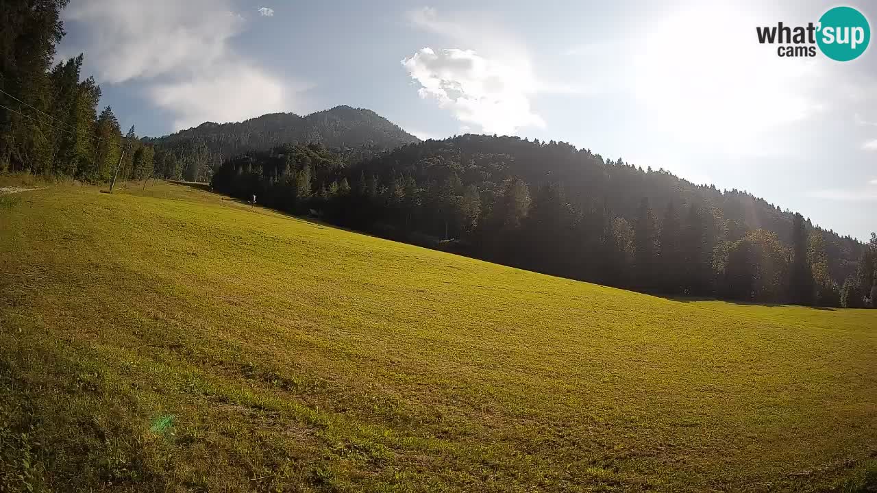 RTC Skigebiet Kranjska Gora | Brsnina