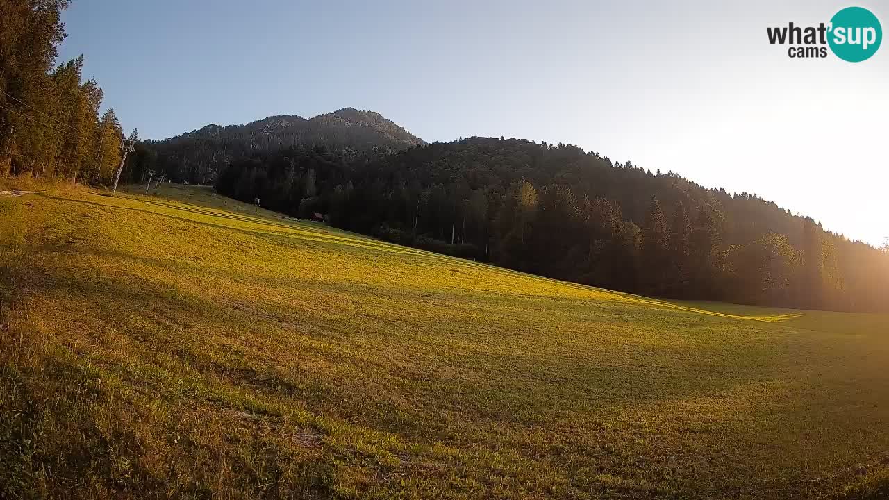 RTC Skigebiet Kranjska Gora | Brsnina