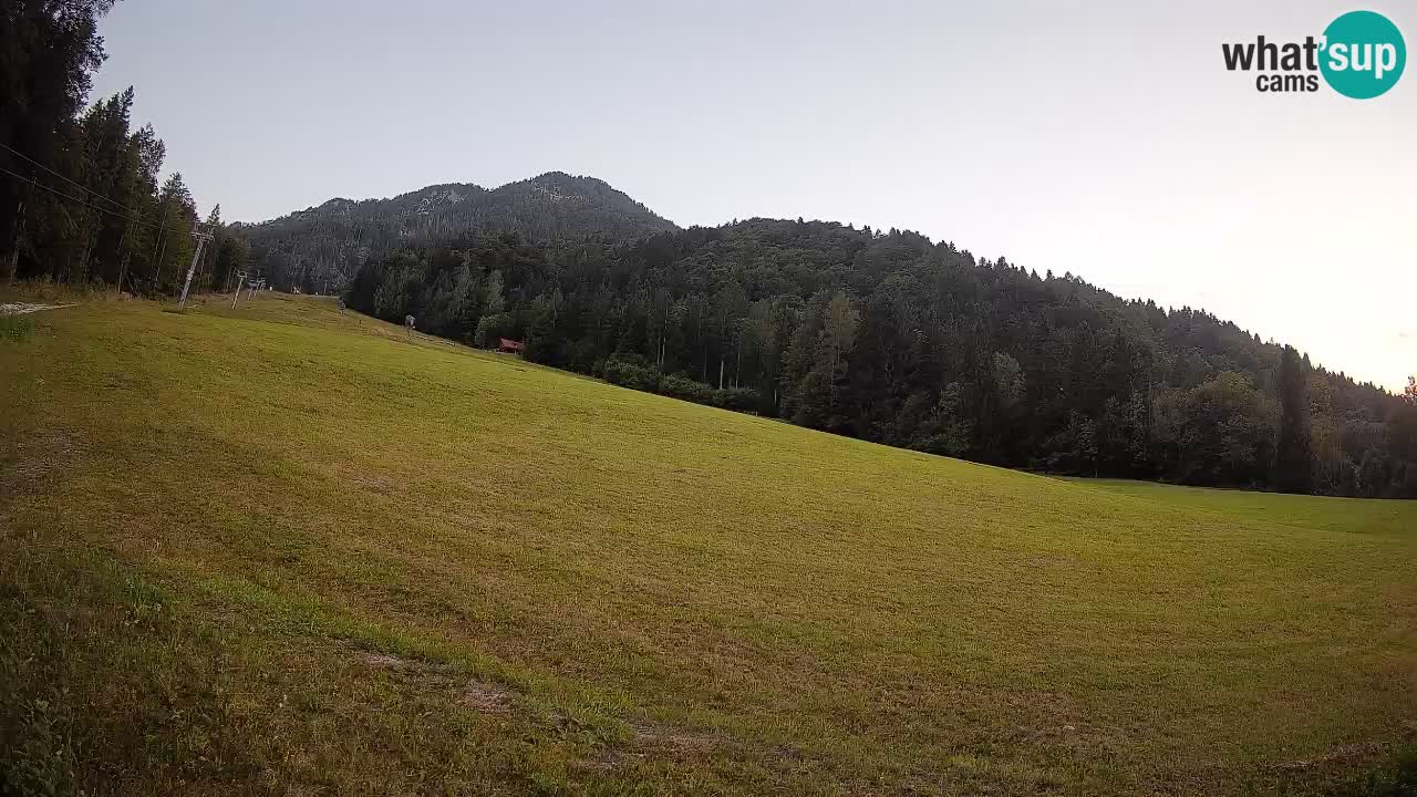 Ski Kranjska Gora | Brsnina