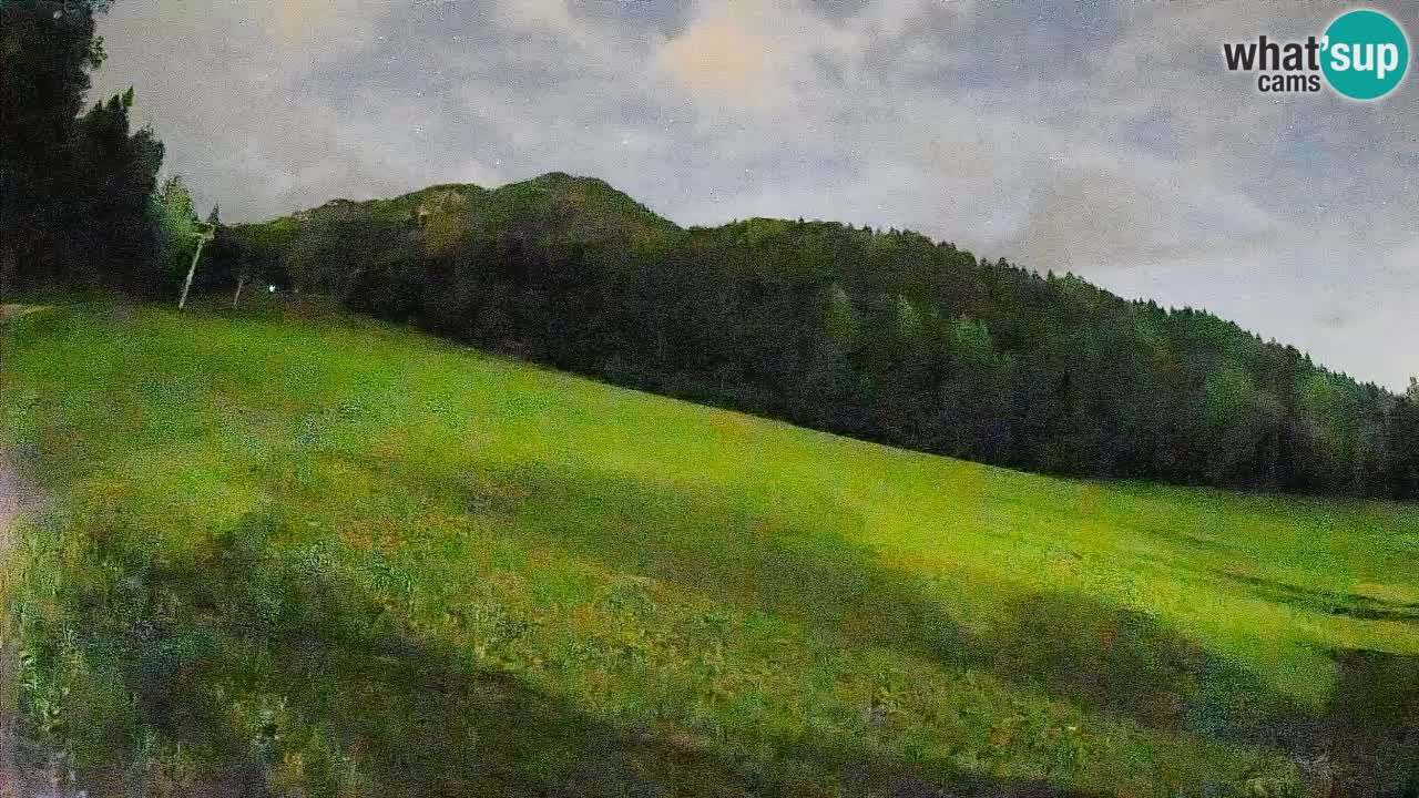 Comprensorio sciistico Kranjska Gora | Brsnina