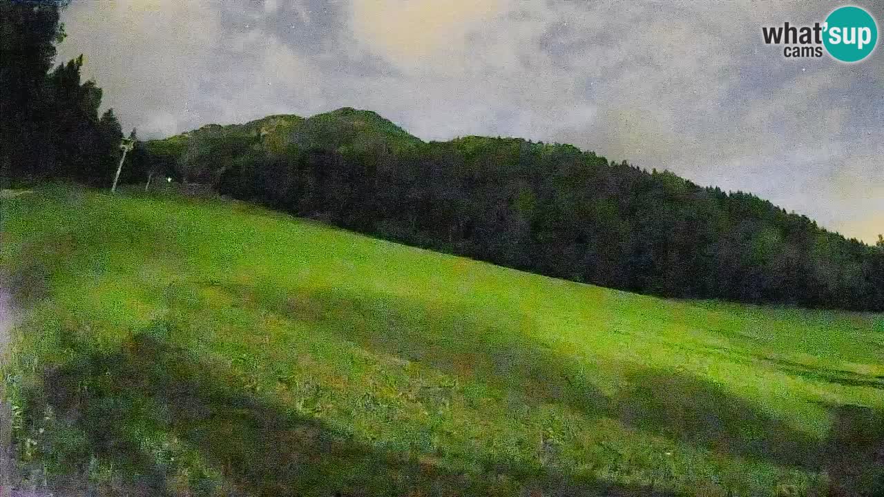 Esquí Kranjska Gora | Brsnina