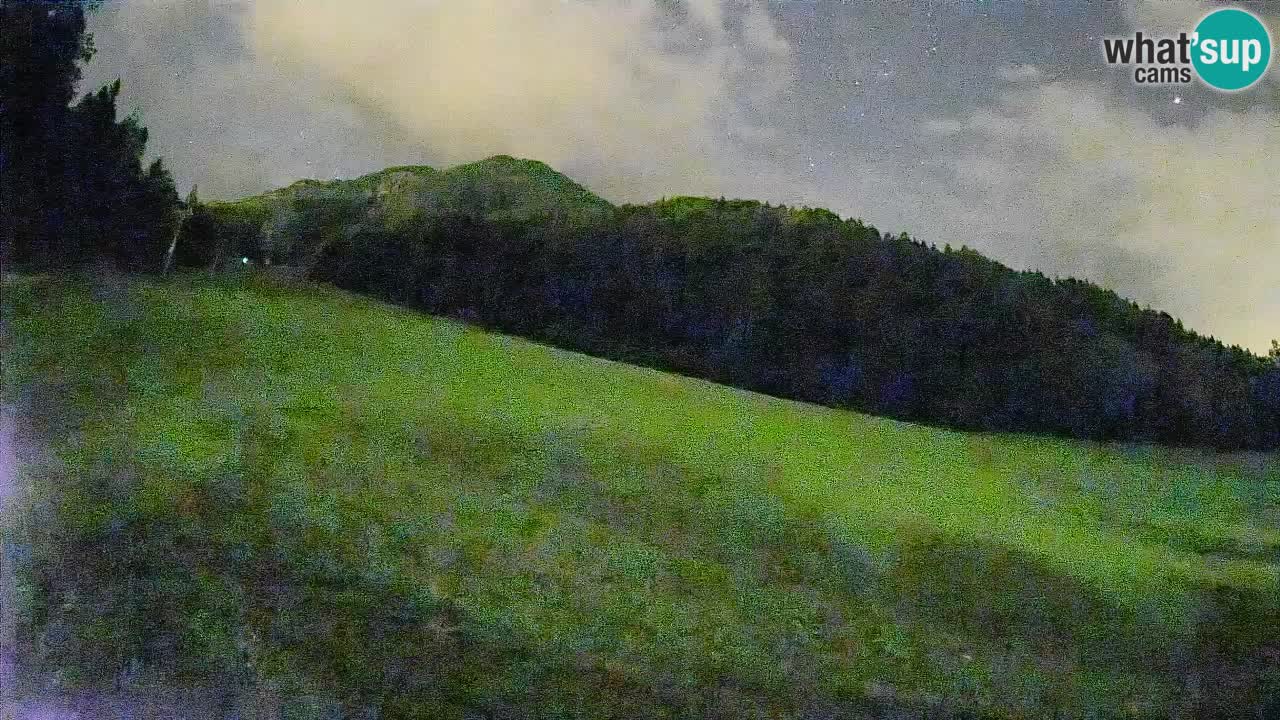 Ski Kranjska Gora | Brsnina