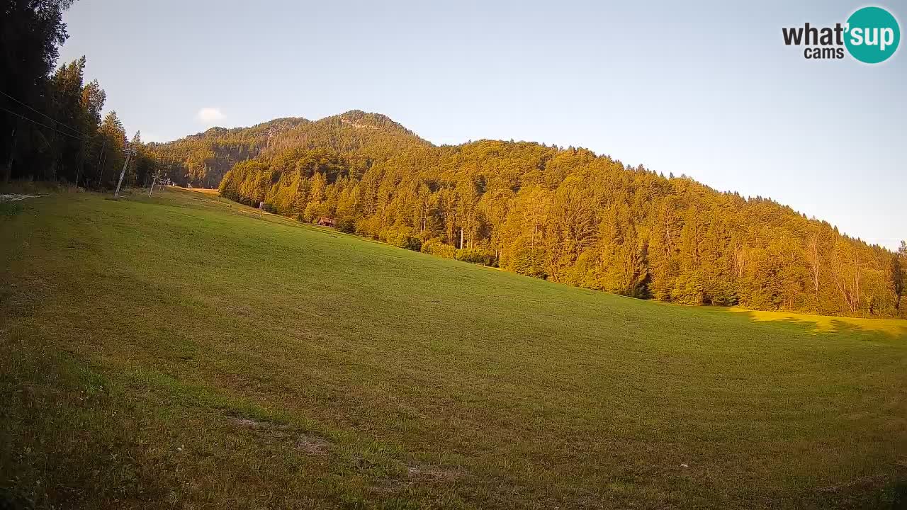Ski Kranjska Gora | Brsnina