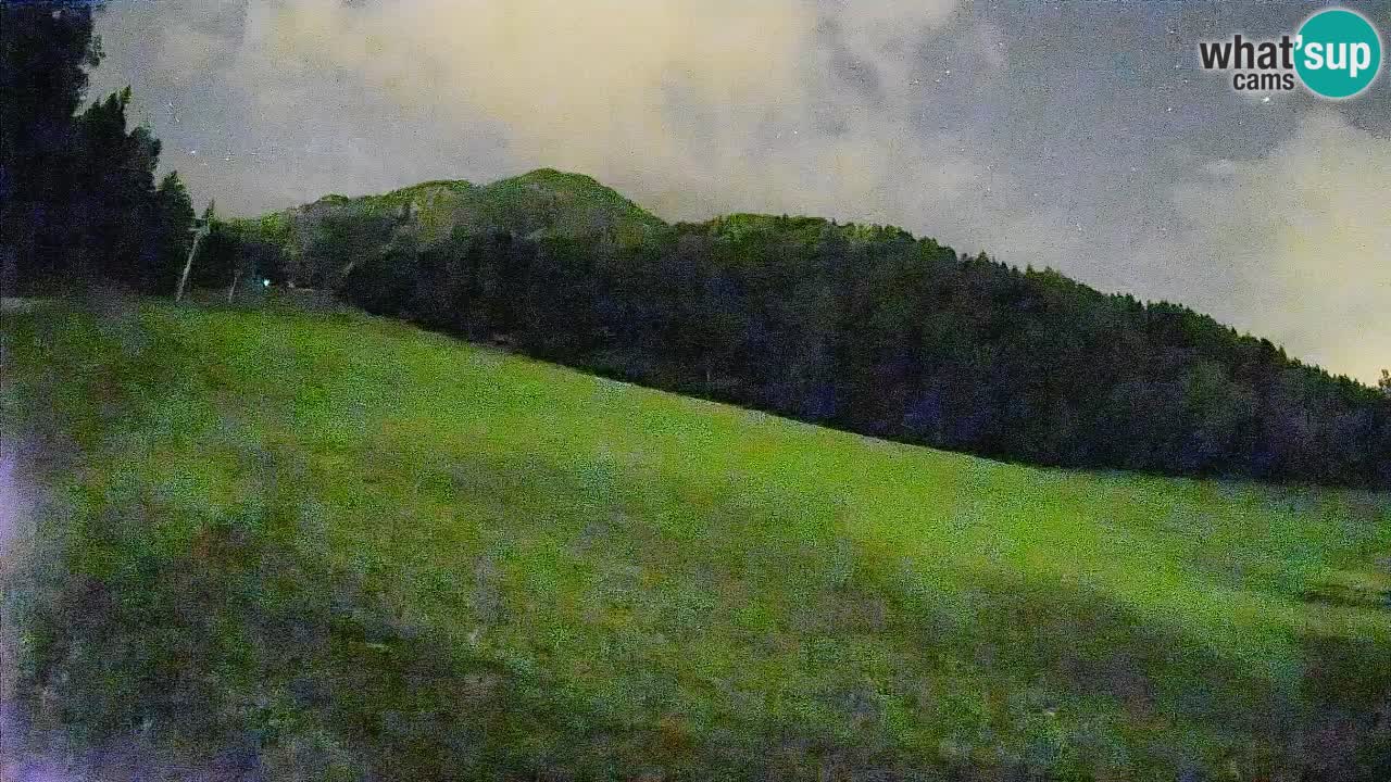 RTC Skigebiet Kranjska Gora | Brsnina