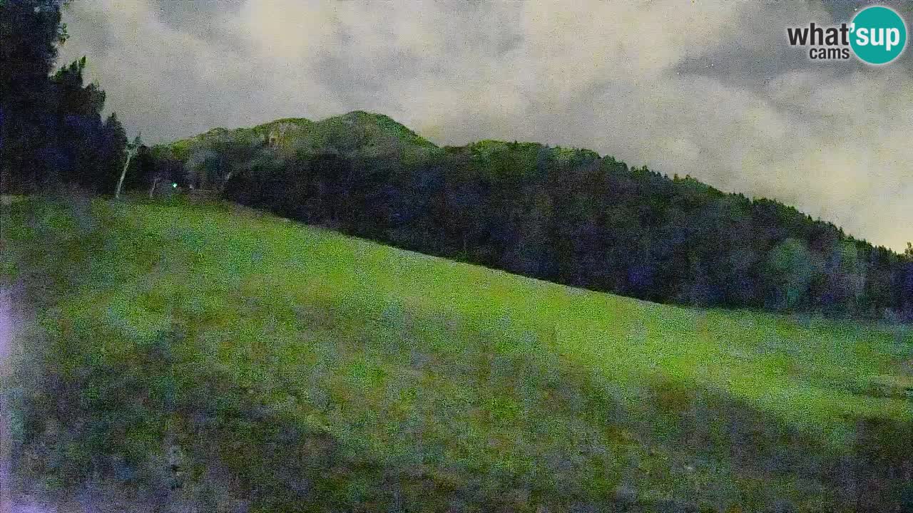 Comprensorio sciistico Kranjska Gora | Brsnina