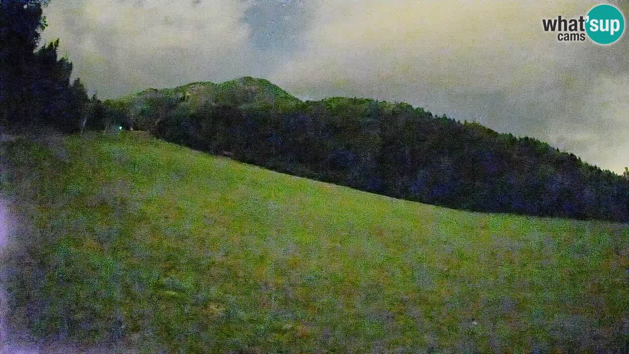 Comprensorio sciistico Kranjska Gora | Brsnina