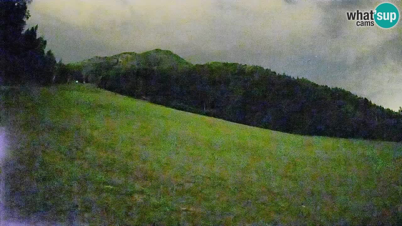 RTC Skigebiet Kranjska Gora | Brsnina