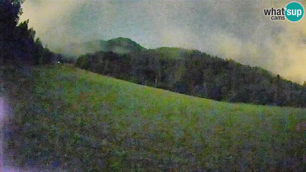 Esquí Kranjska Gora | Brsnina