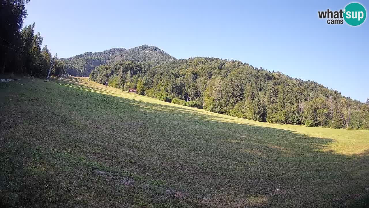 Ski Kranjska Gora | Brsnina