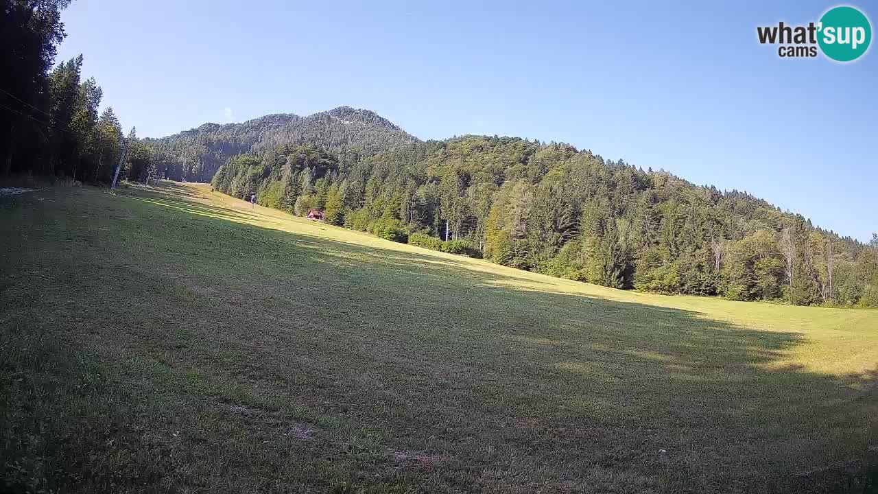 Ski Kranjska Gora | Brsnina
