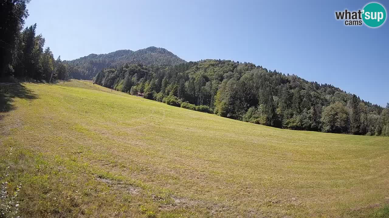 Kranjska Gora SKIJANJE | Brsnina