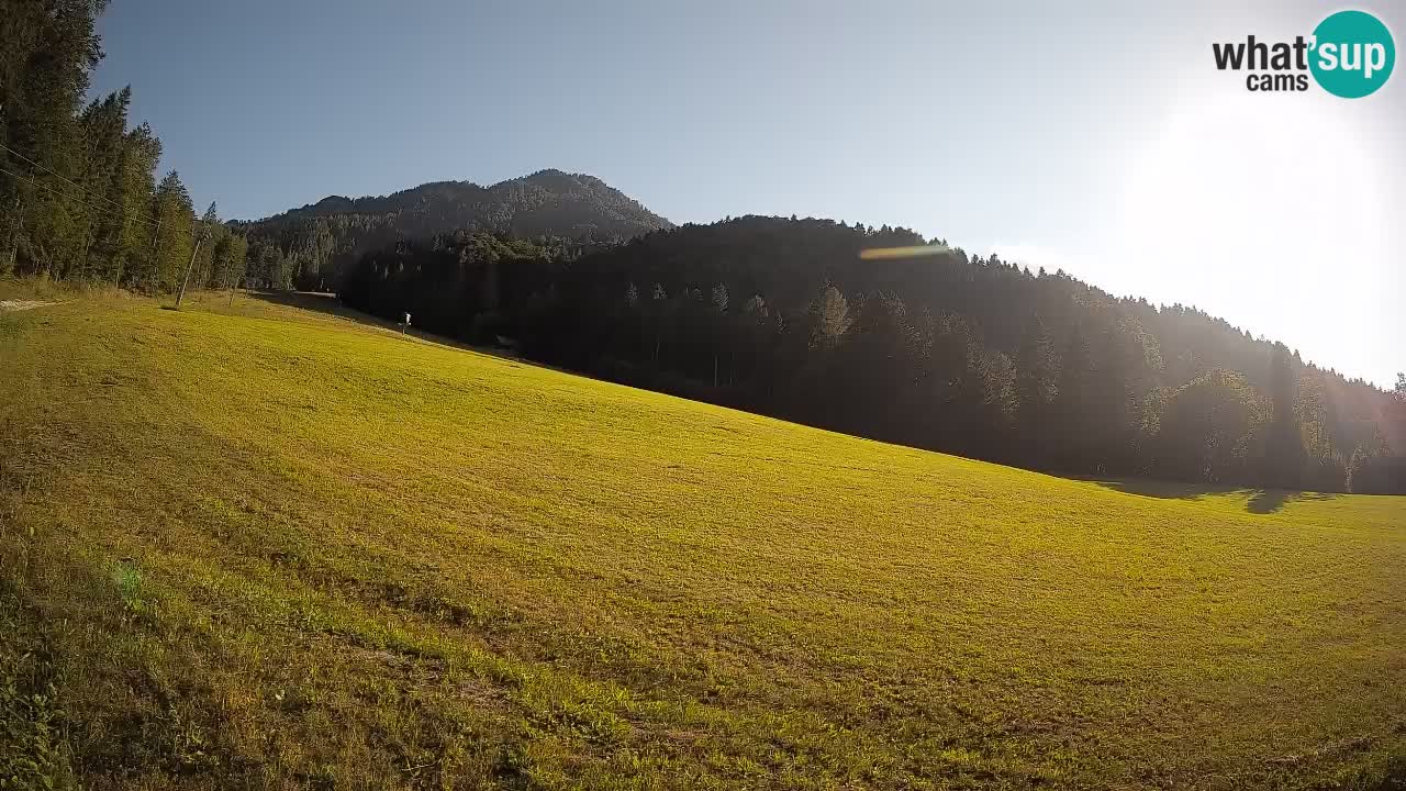 Ski Kranjska Gora | Brsnina