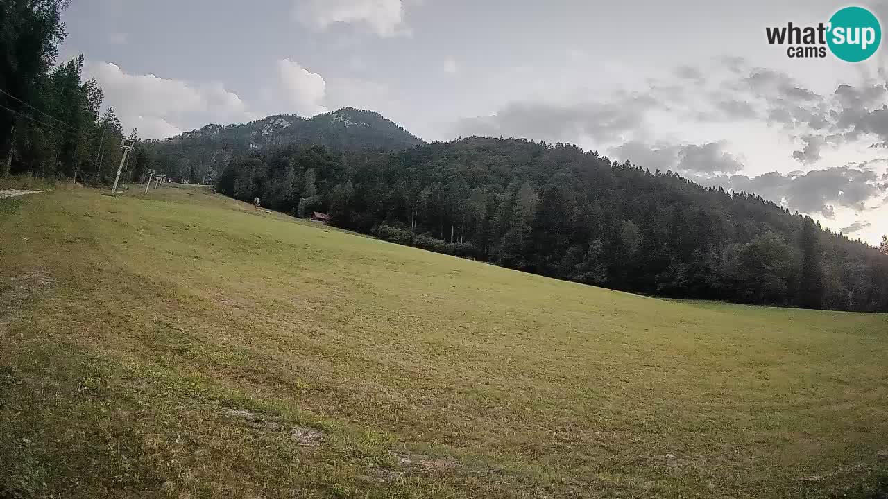 Ski Kranjska Gora | Brsnina