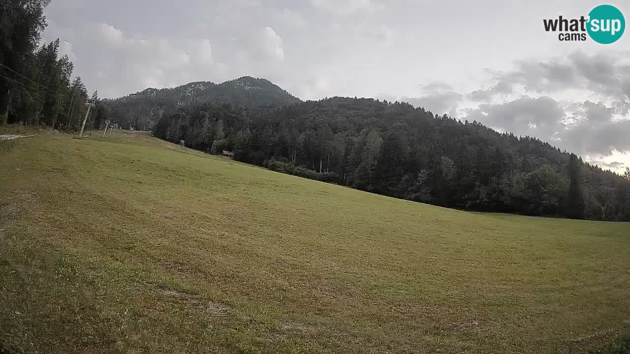 Kranjska Gora Station de ski | Brsnina