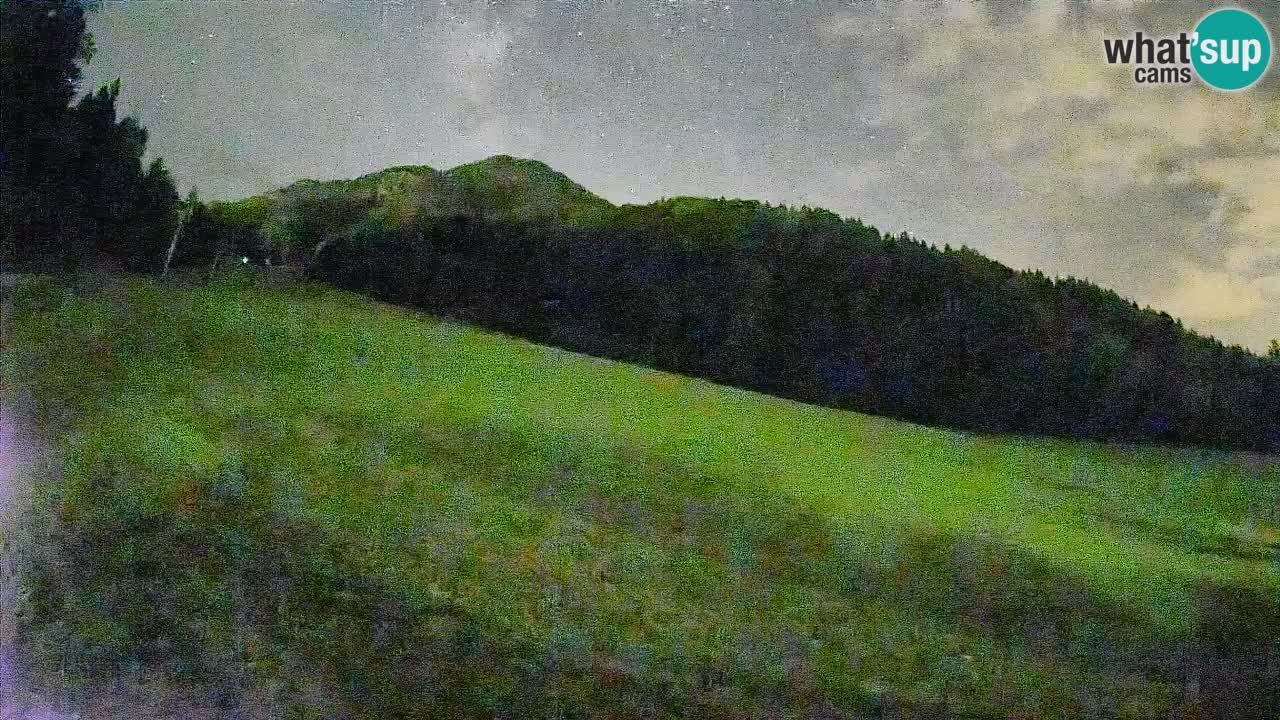 Kranjska Gora SKIJANJE | Brsnina