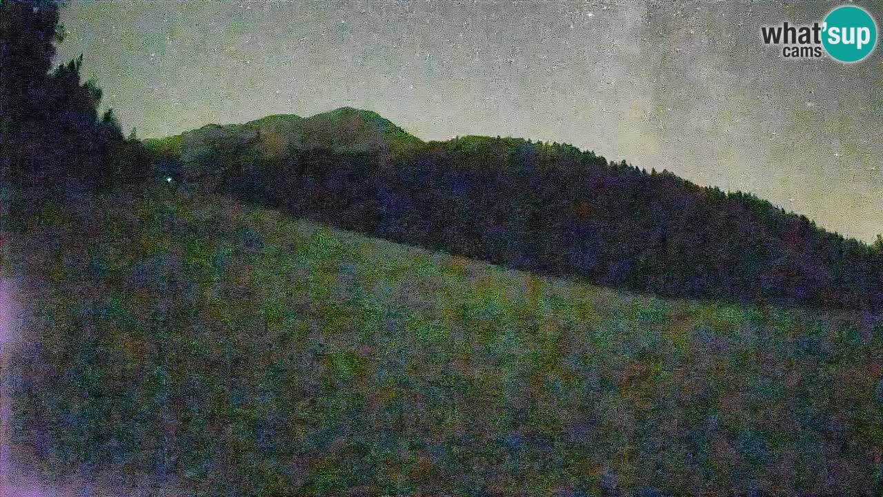 Comprensorio sciistico Kranjska Gora | Brsnina