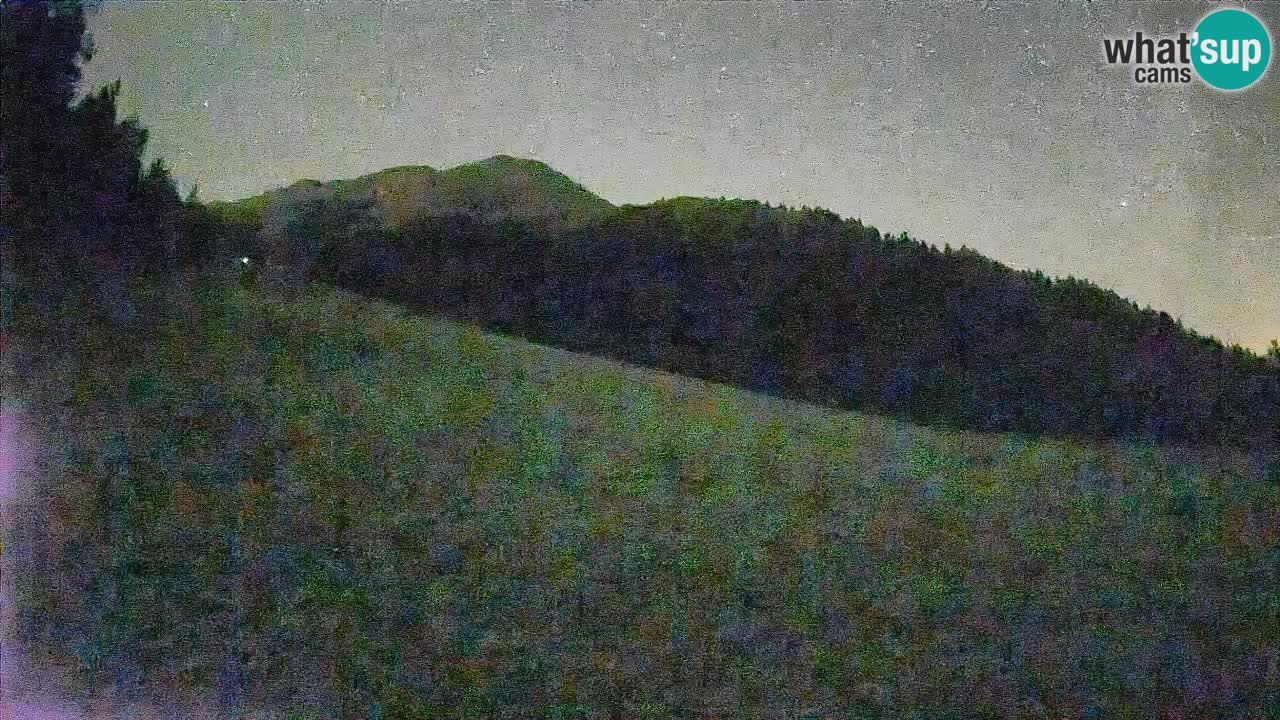 Ski Kranjska Gora | Brsnina