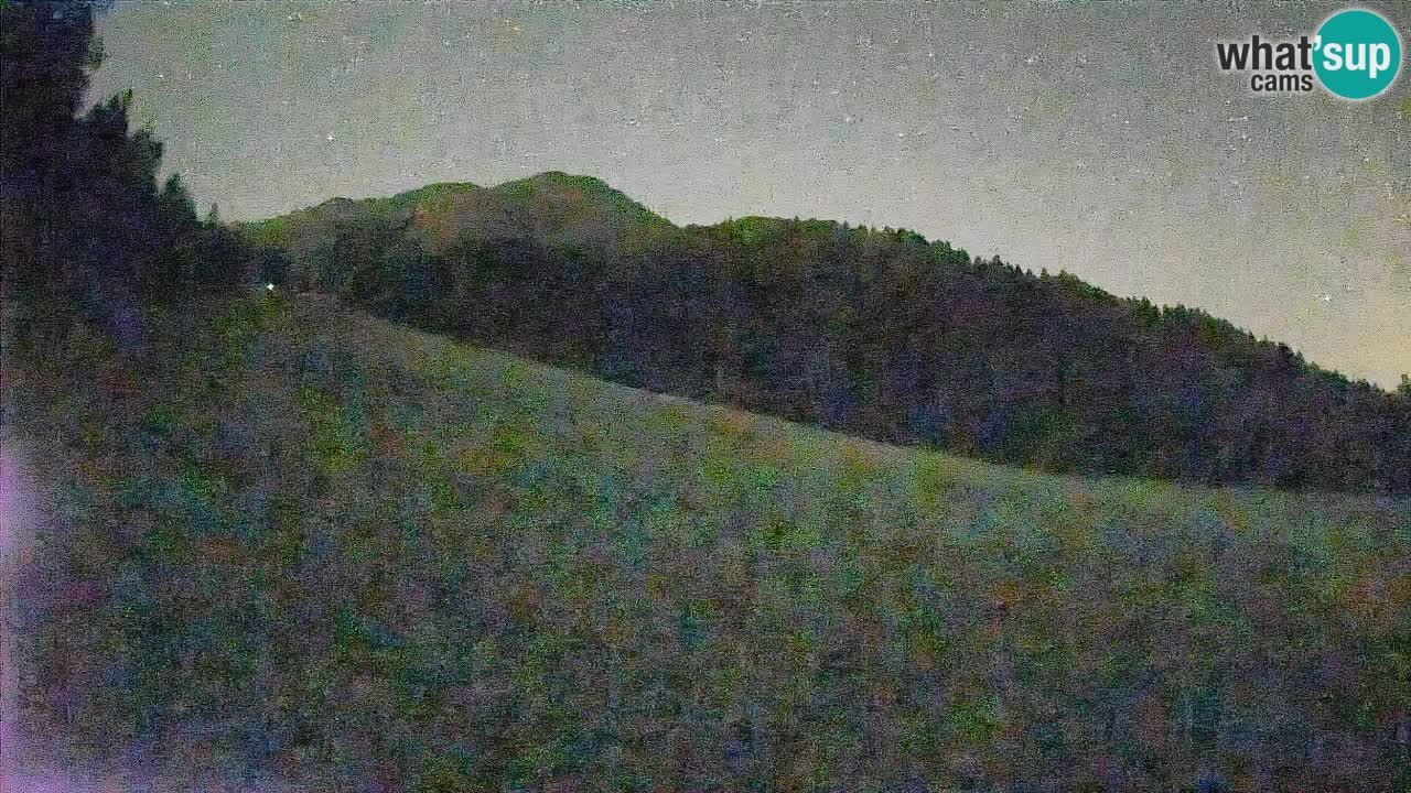 Ski Kranjska Gora | Brsnina