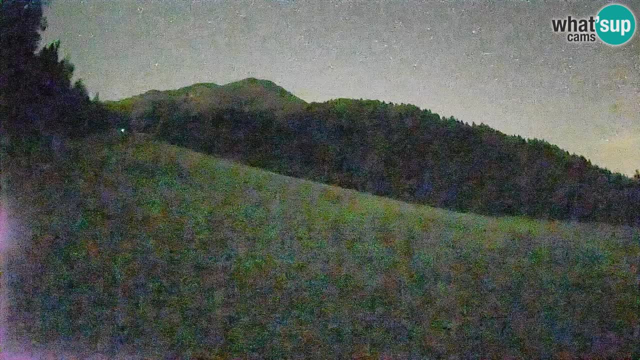 Comprensorio sciistico Kranjska Gora | Brsnina