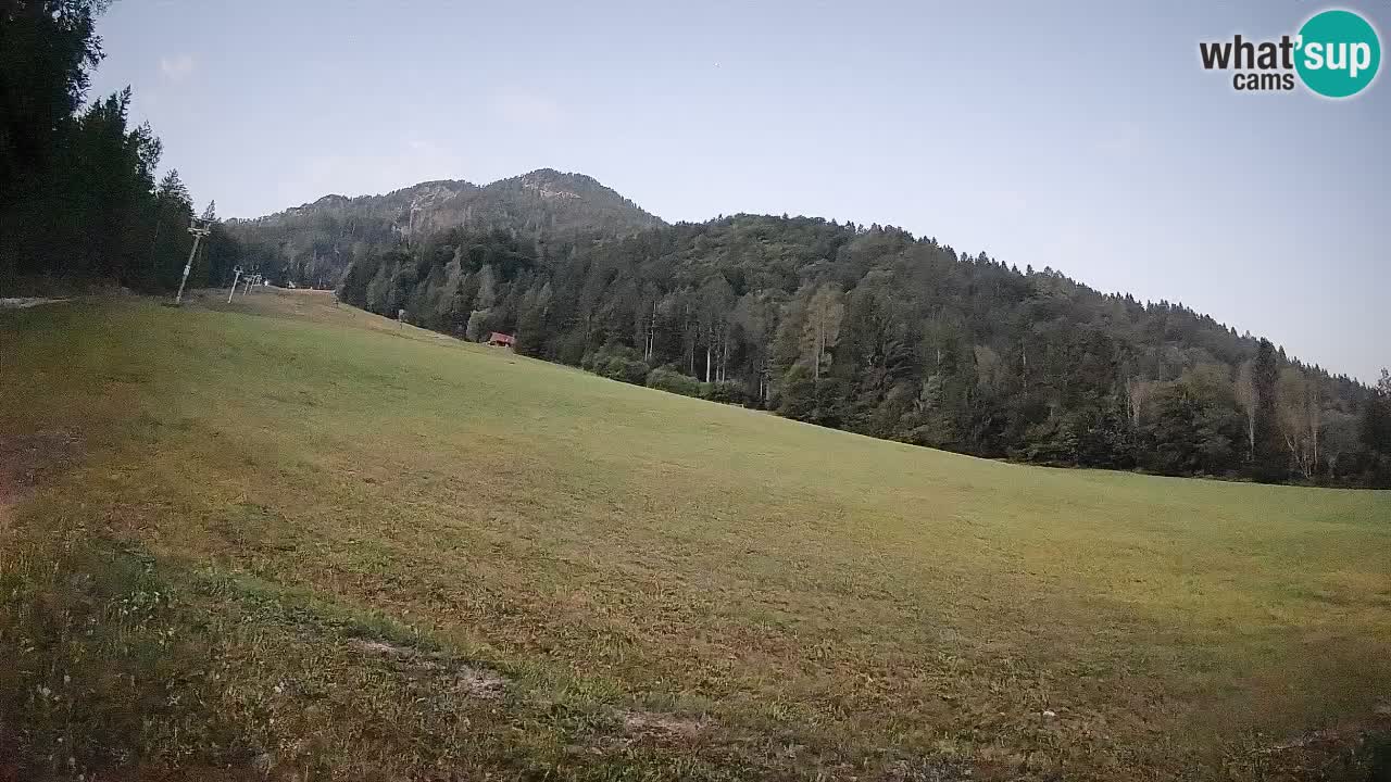 Ski Kranjska Gora | Brsnina