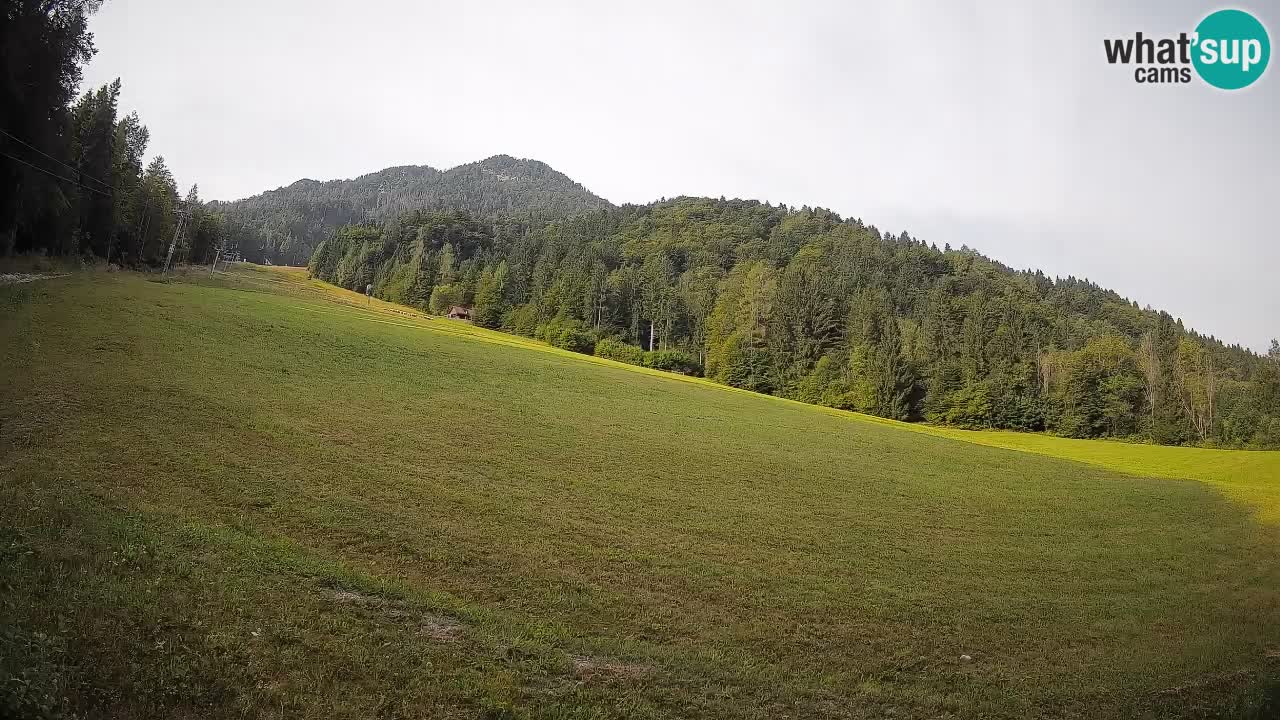 Kranjska Gora Station de ski | Brsnina
