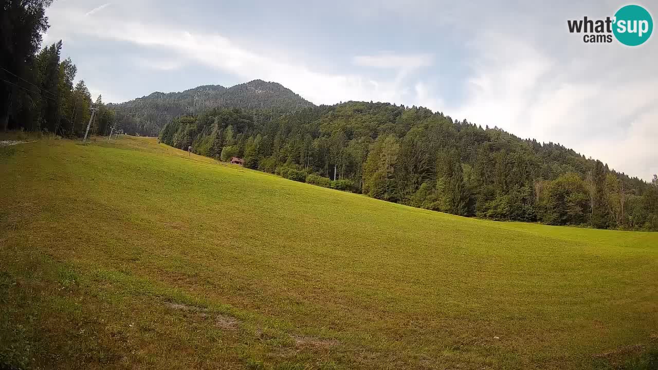 Esquí Kranjska Gora | Brsnina