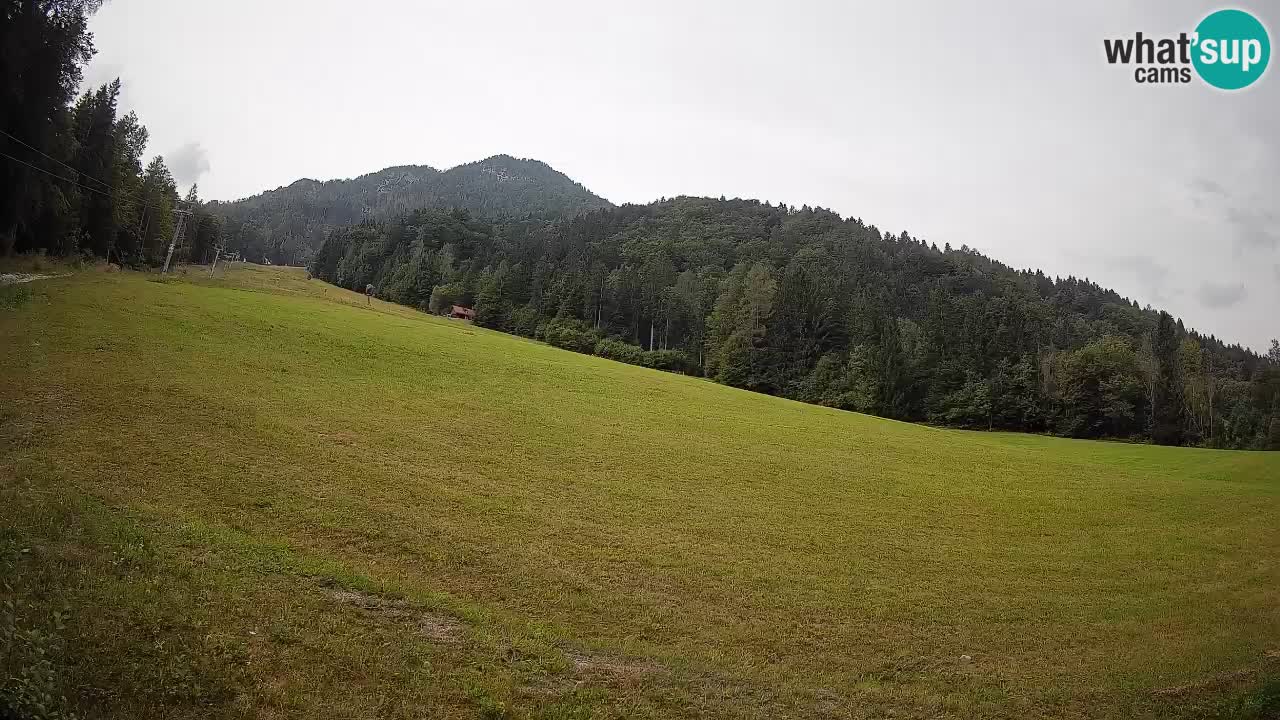Kranjska Gora SKIJANJE | Brsnina