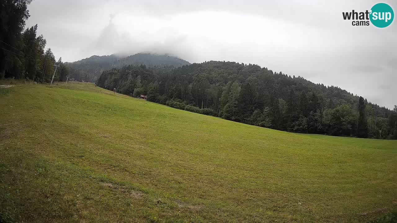 RTC Kranjska Gora | Brsnina