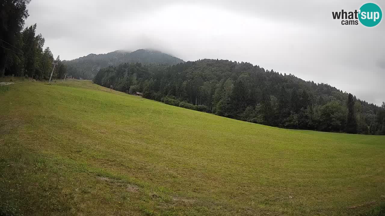 Ski Kranjska Gora | Brsnina