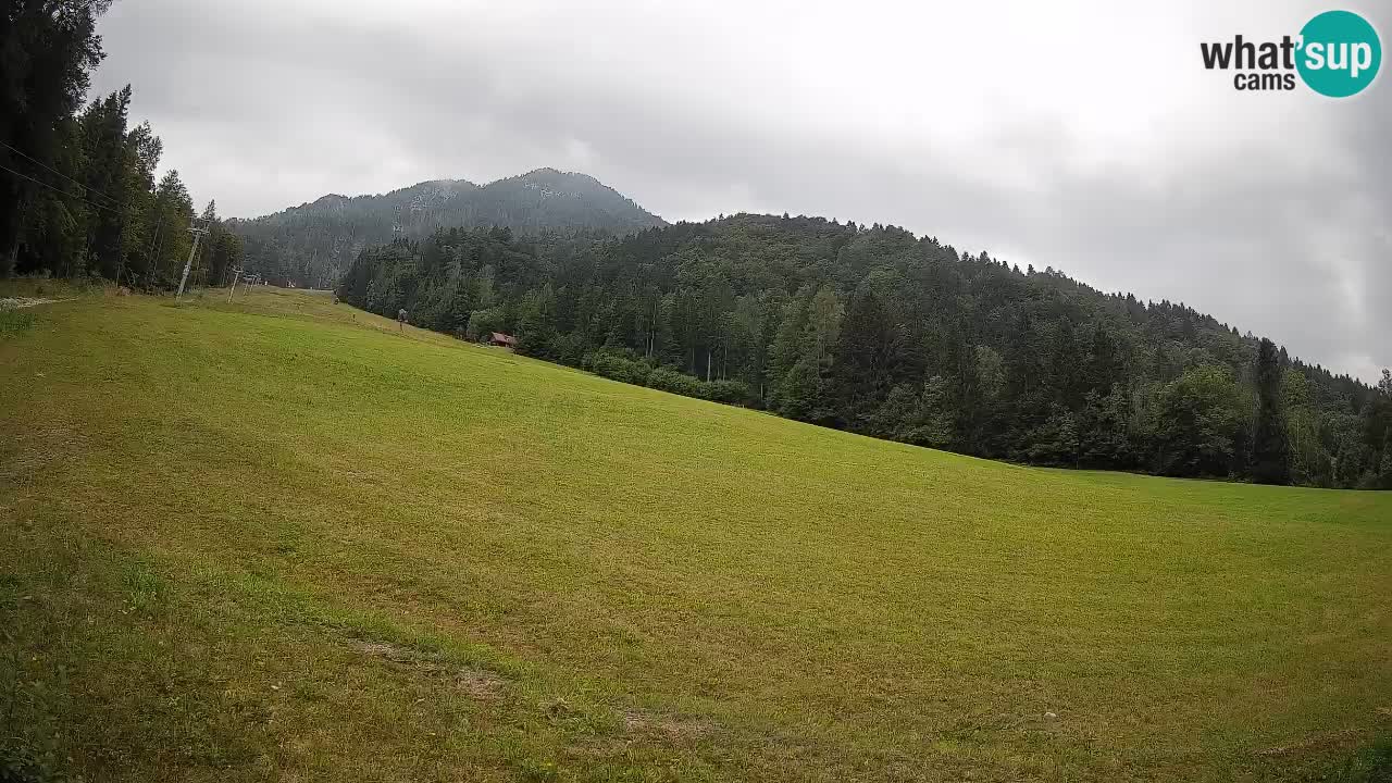 Ski Kranjska Gora | Brsnina