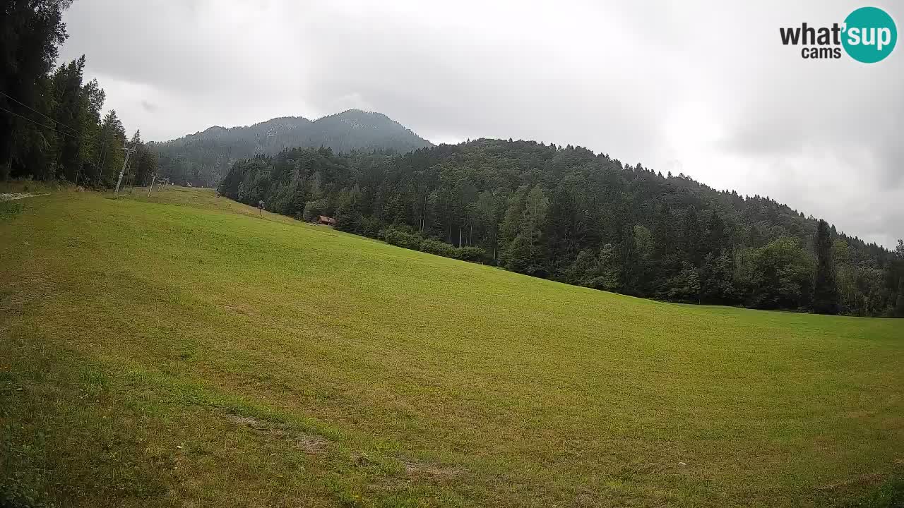 RTC Kranjska Gora | Brsnina