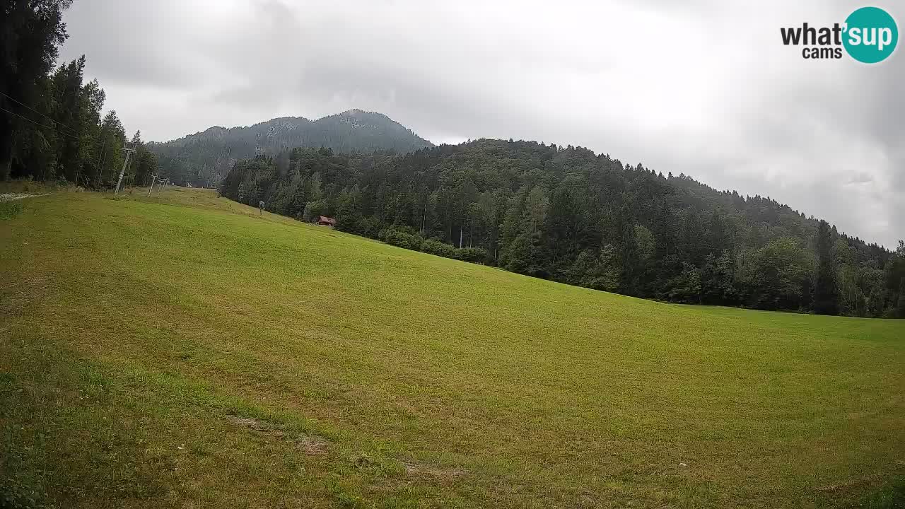 Kranjska Gora Station de ski | Brsnina