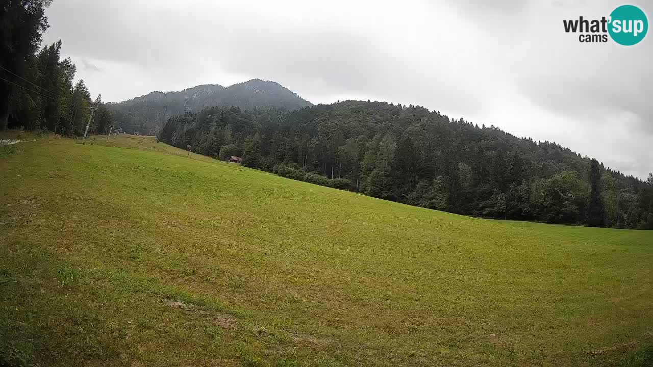 Kranjska Gora Station de ski | Brsnina