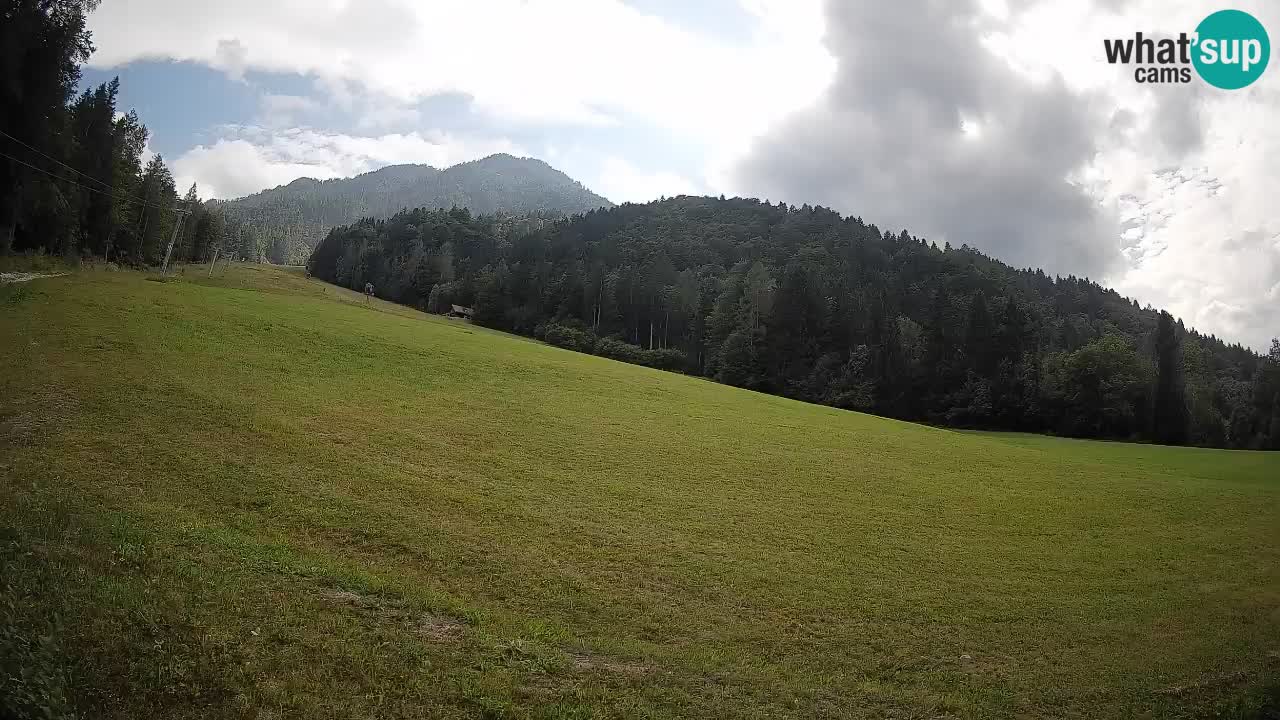 Ski Kranjska Gora | Brsnina