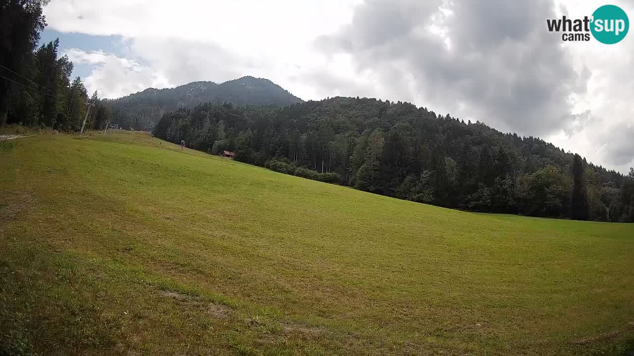 Comprensorio sciistico Kranjska Gora | Brsnina